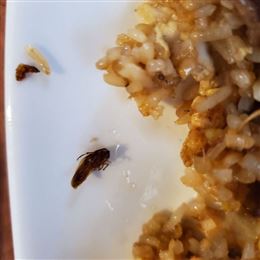 Phó Só 8
